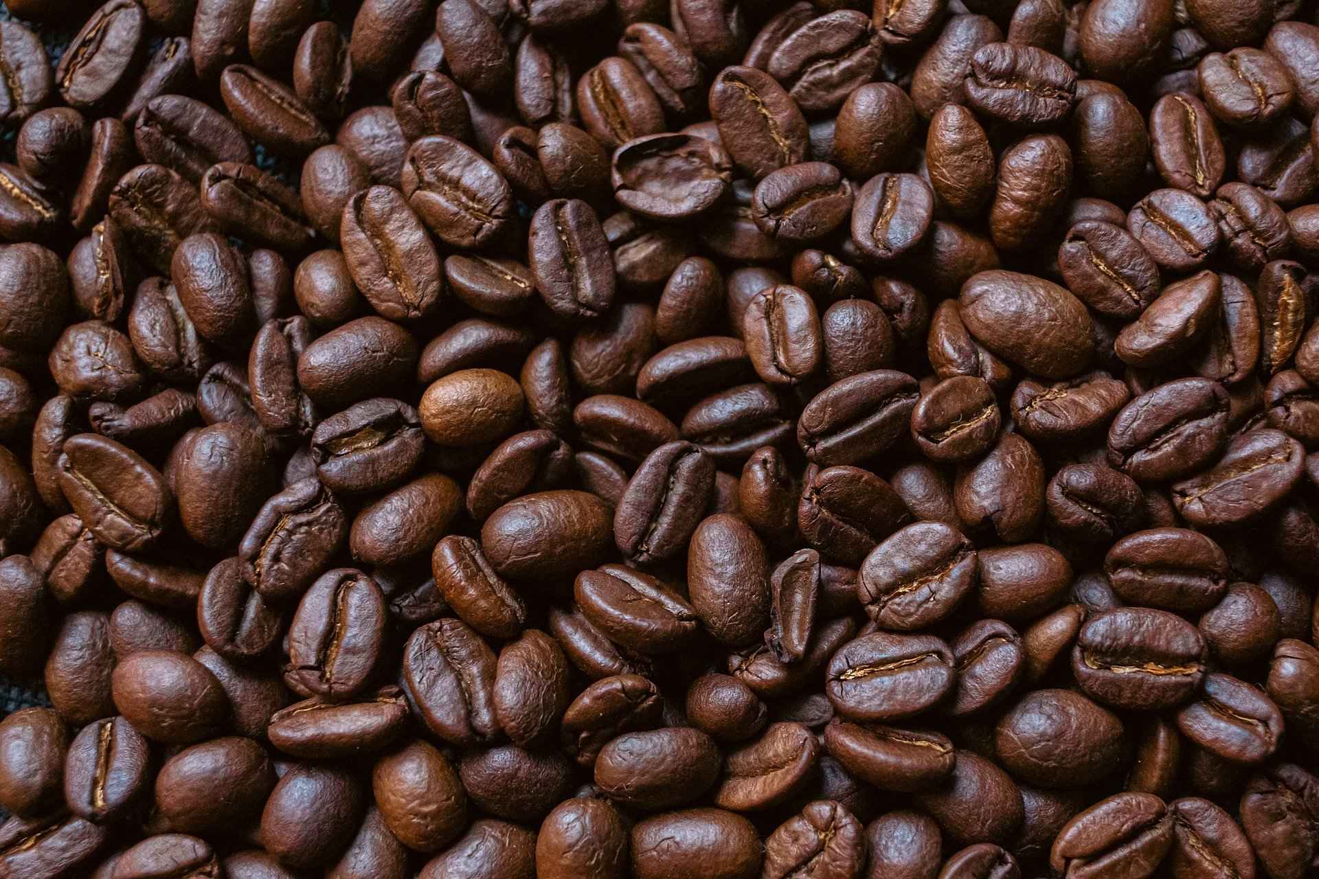 Java Robusta Fine Robusta